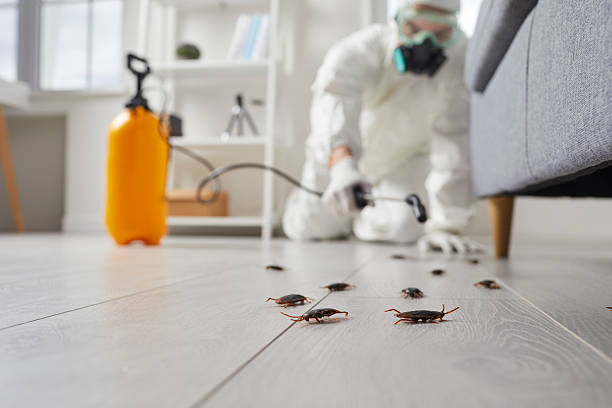 Commercial Kitchen Cockroach Control in Gresham